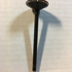 55563529 Intake Valve 13293CHN