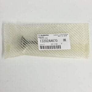 Subaru 2.0L 2.5L Exhaust Valve - 13202AA670 OEM