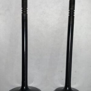 AA5Z-6507A Intake Valve Ford 3.5L Ecoboost FO35-INT